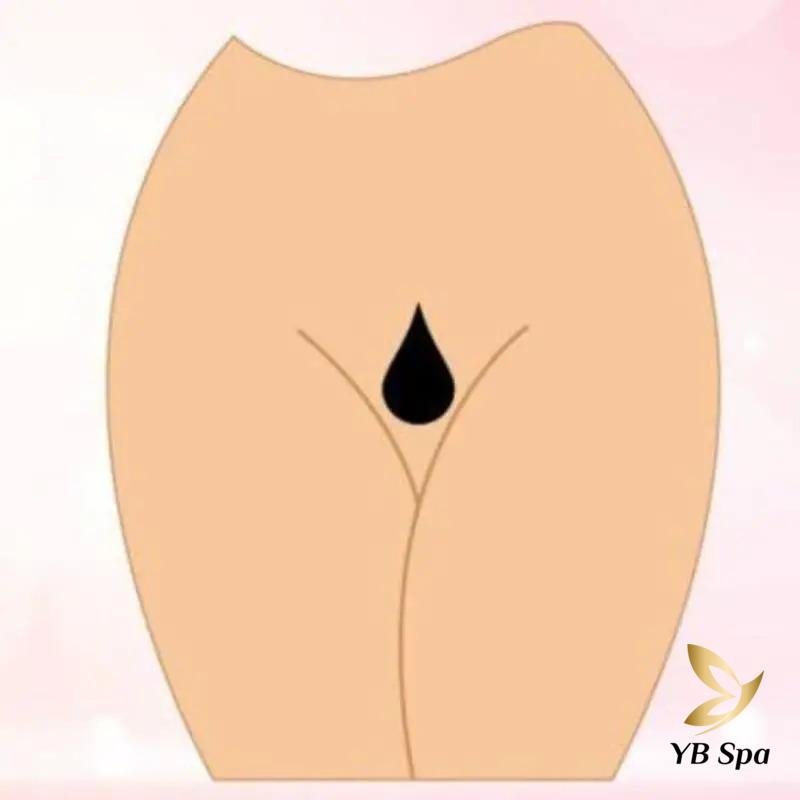 Triệt Lông Bikini Tạo Hình Là Gì? 13 Kiểu Tạo Hình Mới Nhất 29 Lông bikini hình giọt nước