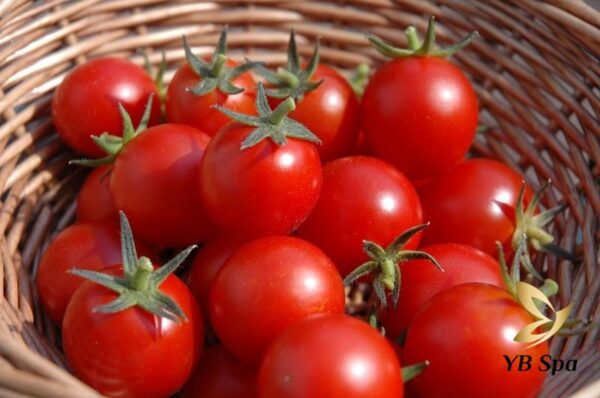 Triệt lông bằng cà chua có hiệu quả không? (Nguồn: Internet)