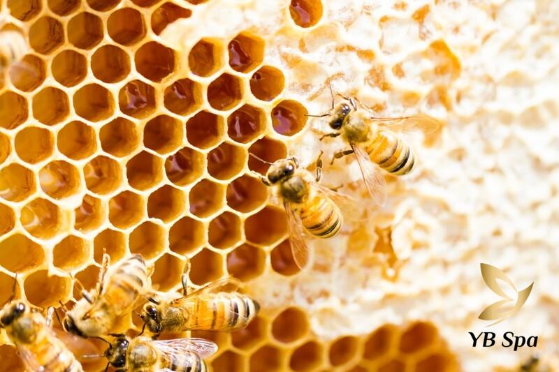 7 Cách Triệt Lông Nách Bằng Mật Ong Hiệu Quả 26 Sáp ong có tác dụng dưỡng ẩm, làm mềm mịn da khi tẩy lông (Nguồn: Internet)