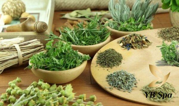 Triệt lông nách bằng thảo dược (Nguồn: Internet)