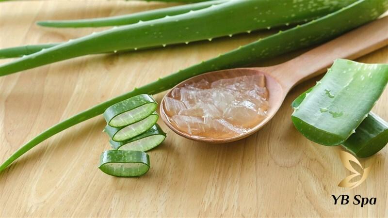 Triệt lông nách với thảo dược: Bí quyết cho làn da mịn màng, trắng sáng 25 Lô hội giúp da nhanh chóng phục hồi (Nguồn: Internet)