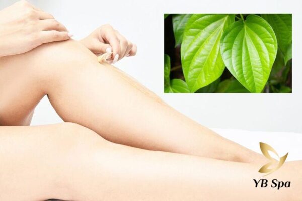 Cách tẩy lông bằng lá trầu không để lấy lại làn da mịn màng (Nguồn: Internet)