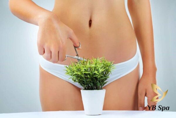 Triệt lông vùng kín - bikini vĩnh viễn (Nguồn: Internet)