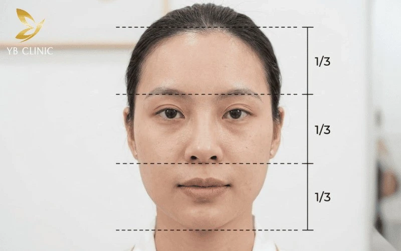 5 Yếu Tố Quyết Định Vẻ Đẹp Hài Hòa Của Khuôn Mặt 6 Tỷ lệ 1/3 giúp xác định sự cân đối giữa trán, mũi và cằm trên khuôn mặt
